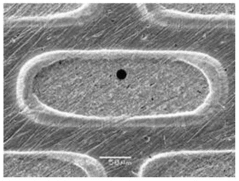 Growing method for carbon nanotubes growing according to headchute type pattern structure and emitter thereof