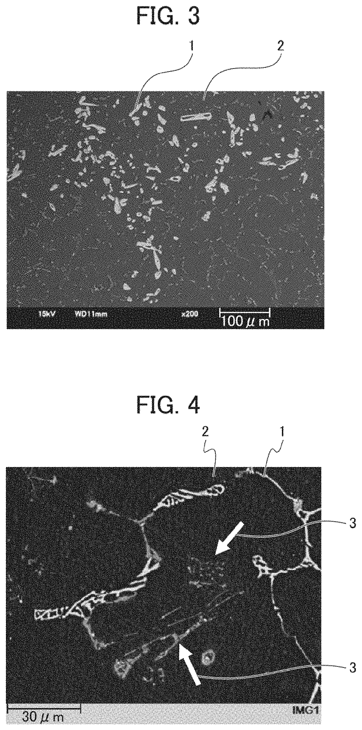 Magnesium alloy and method of manufacturing same