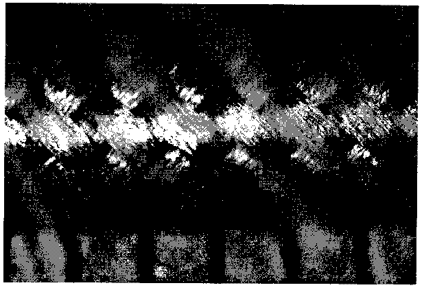 Method for preparing polyglycollide (PGA)-woven urethra scaffold for repairing urethral