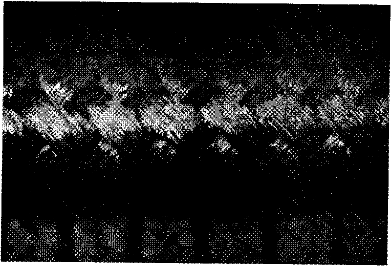 Method for preparing polyglycollide (PGA)-woven urethra scaffold for repairing urethral