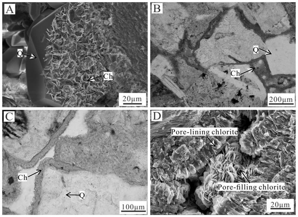 Characterization method for micro-pores in clastic rock reservoir containing chlorite