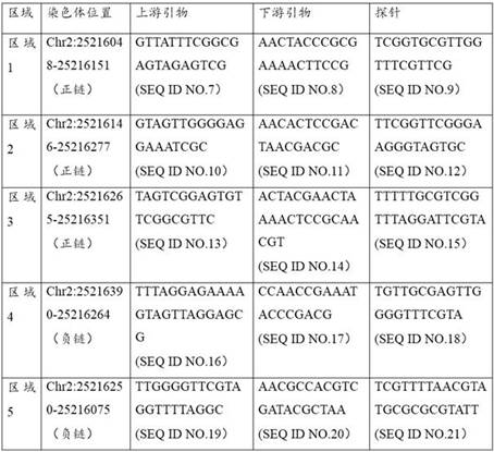 A molecular marker detection kit, nucleic acid combination and application of primary liver cancer