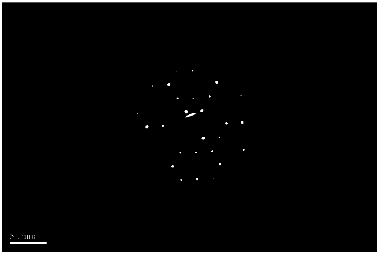 Activated carbon nanosphere and application thereof to tumor boundary and lymph gland tracing