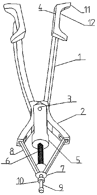 Antibacterialeye speculum