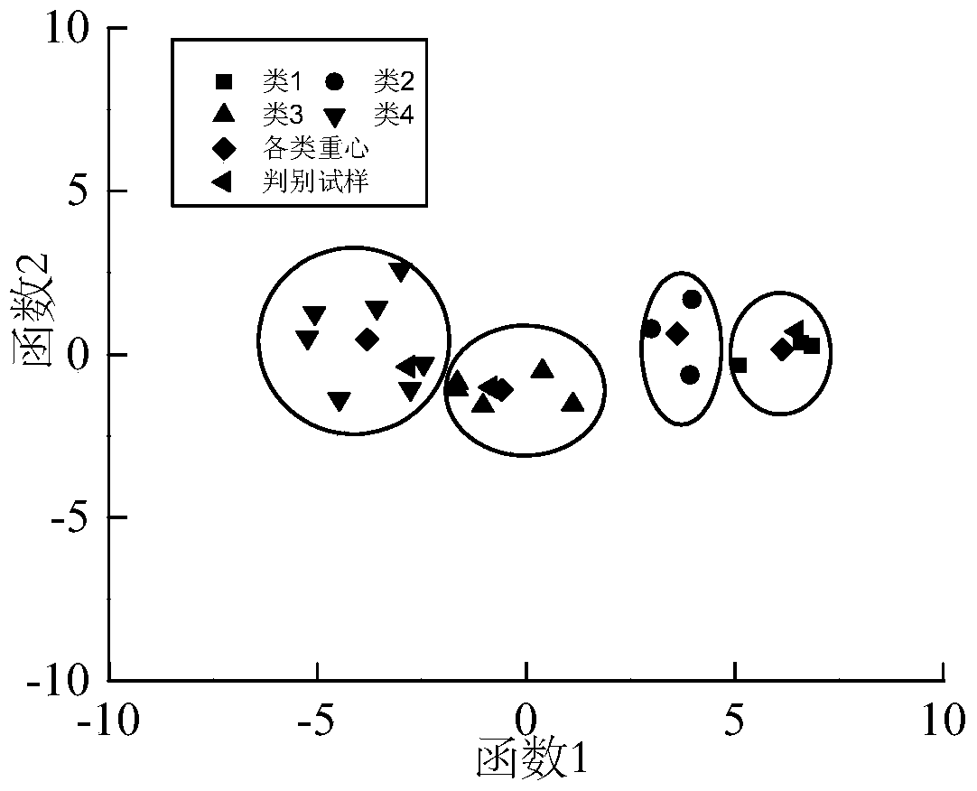 Aging state classification and discrimination method of composite insulators