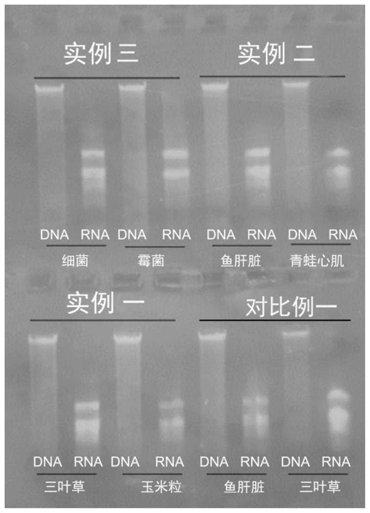 Kit for simultaneously extracting DNA and RNA and using method thereof