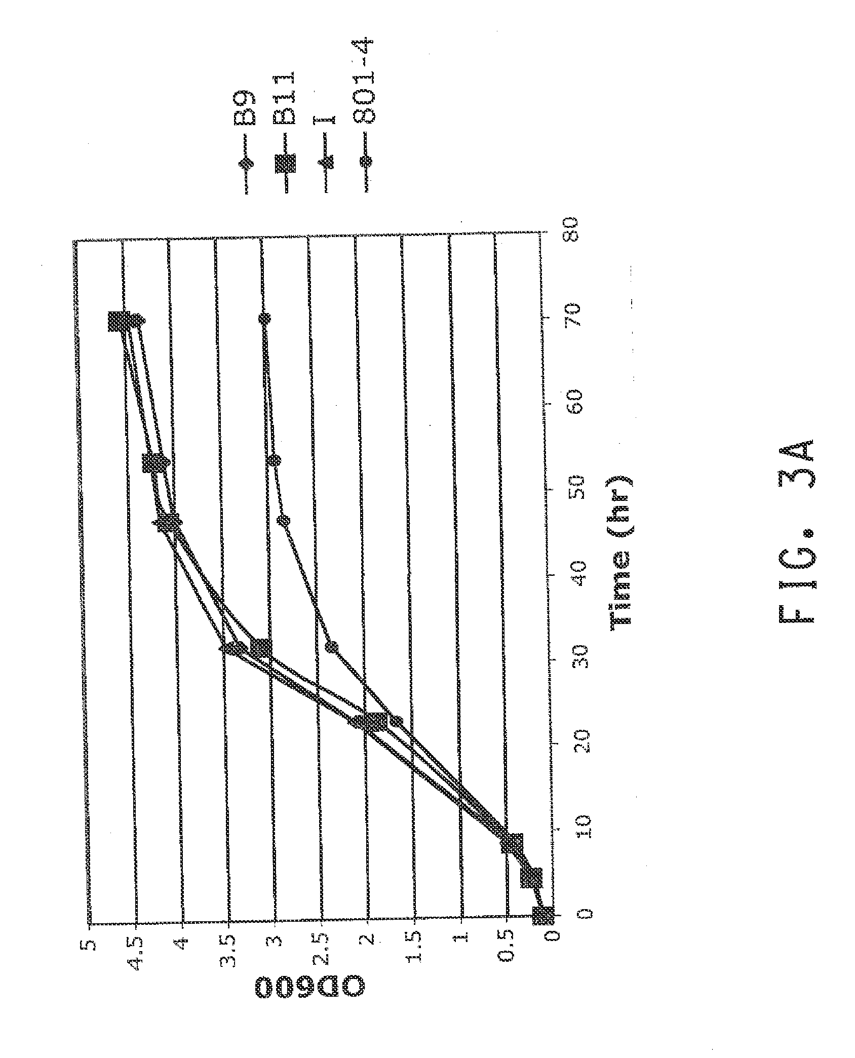 Pnp gene modification for improved xylose utilization in zymomonas