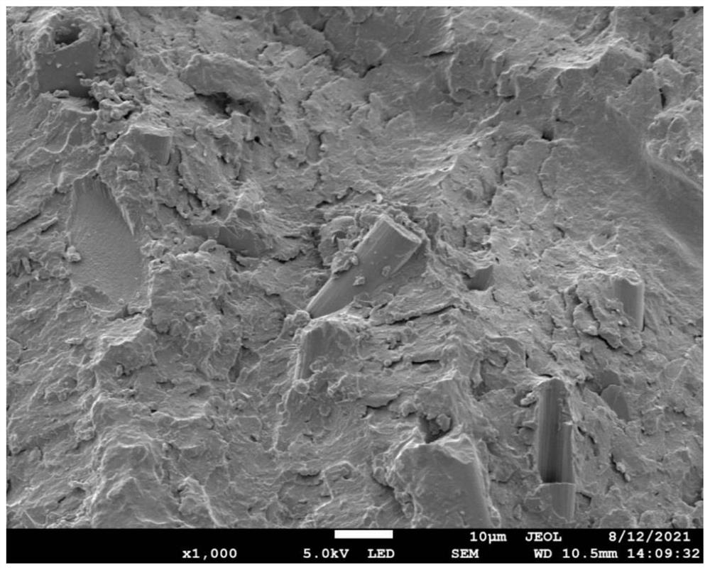 Fiber and red mud co-modified epoxy resin composite material and preparation method thereof