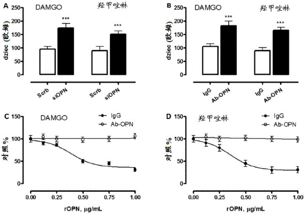 A method of increasing GIPCR signalization in the cells of a scoliotic subject