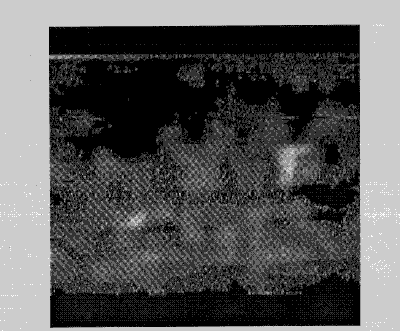 Enhancement method aiming at passive millimeter wave image