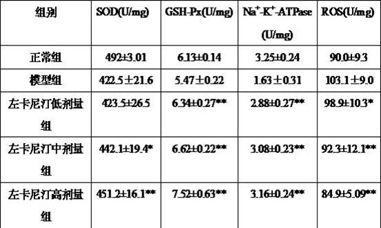 Antidote composition and application thereof