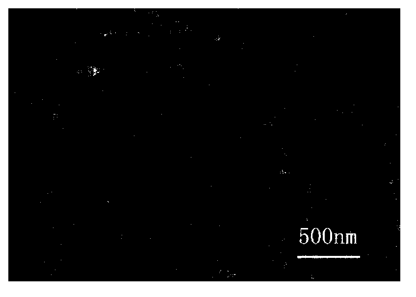 Nitrogen-doped graphene nanobelt and preparation method thereof