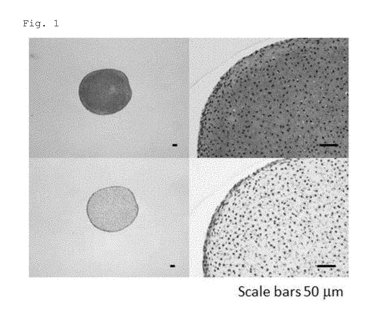 Novel method for chondrogenic induction