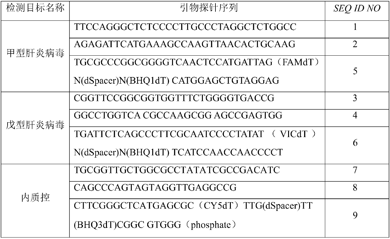 Primer, probe and kit for detecting hepatitis A and hepatitis E viruses