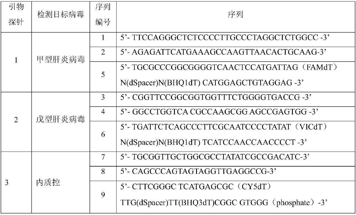 Primer, probe and kit for detecting hepatitis A and hepatitis E viruses