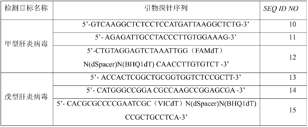 Primer, probe and kit for detecting hepatitis A and hepatitis E viruses