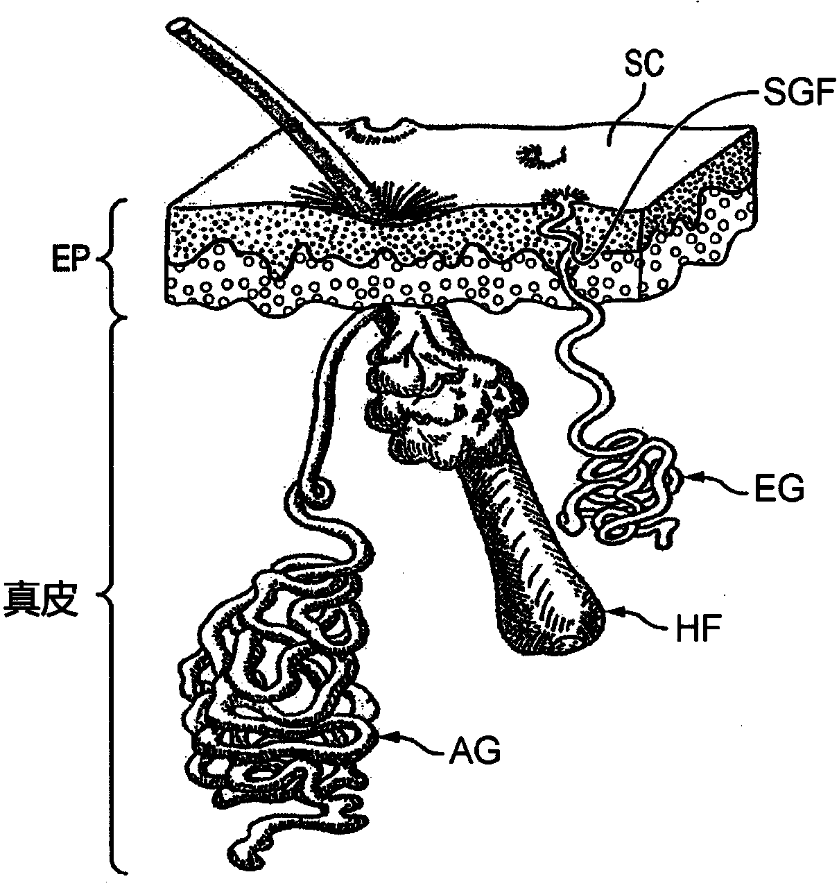 Method for performing a physiological analysis with increased reliability