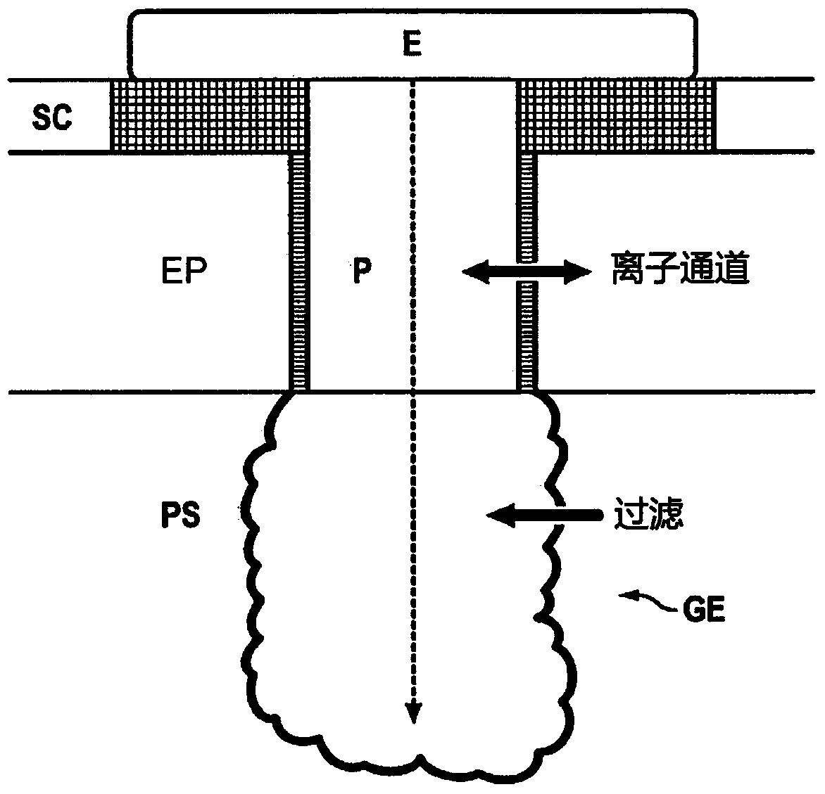 Method for performing a physiological analysis with increased reliability