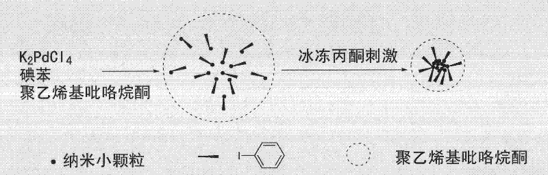 Method for synthesizing nano palladium particles with superactivity