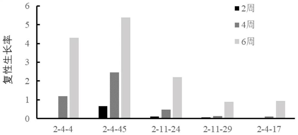 Method for ultralow-temperature preservation of European spruce embryonic calluses