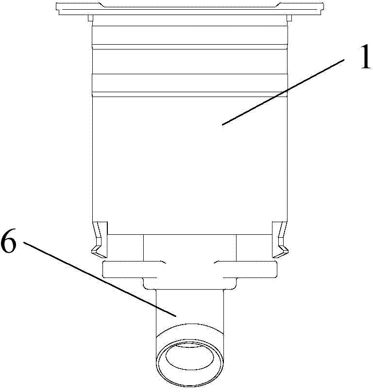 Water valve and water dispenser