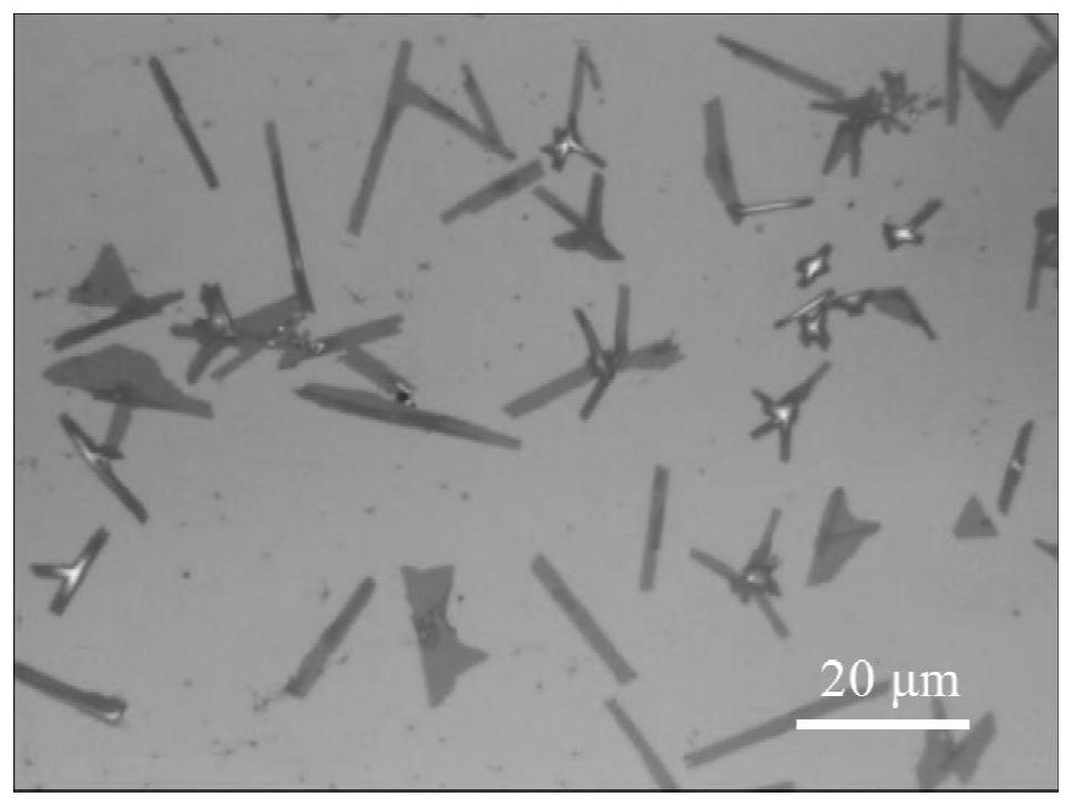 Preparation method of tungsten ditelluride nanobelt