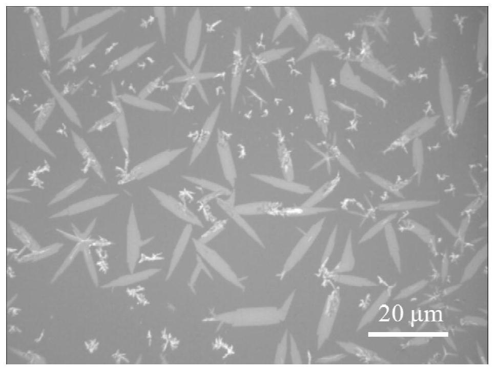 Preparation method of tungsten ditelluride nanobelt