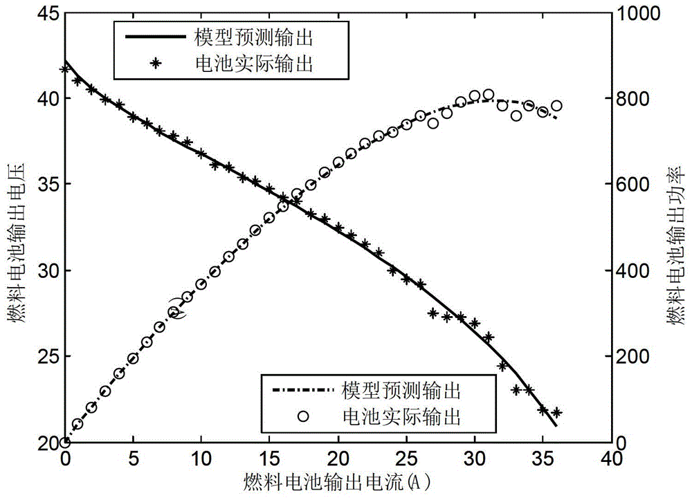 Proton exchange membrane fuel cell model optimizing process method