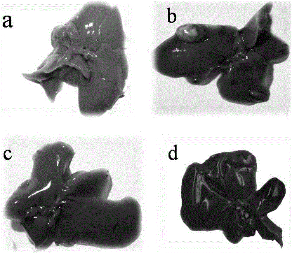 Nano Liu-Shen-Wan solution and preparation method thereof