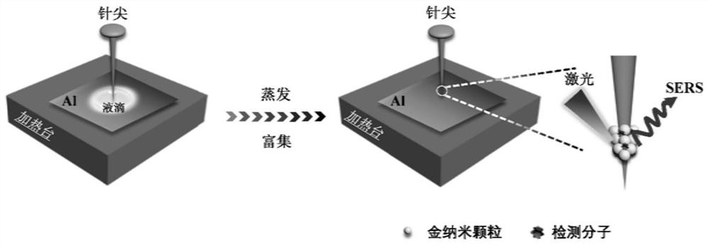 Preparation method of needle point positioning enrichment type surface enhanced Raman scattering substrate