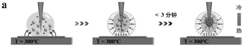 Preparation method of needle point positioning enrichment type surface enhanced Raman scattering substrate