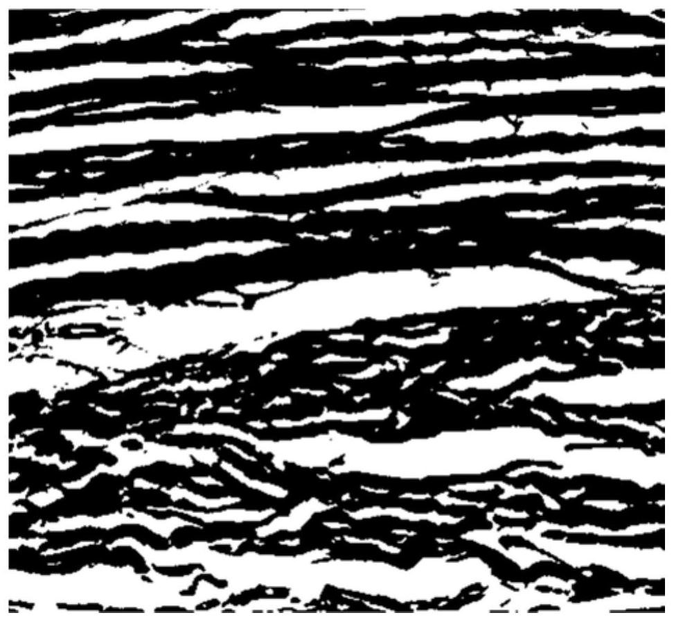 Biological tissue material and preparation method thereof