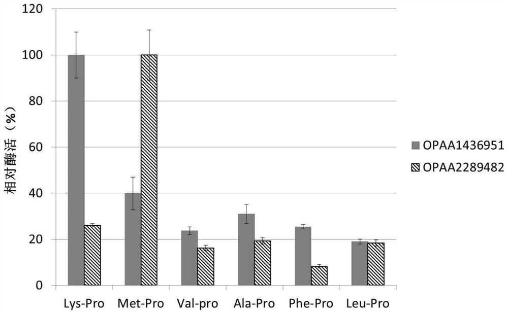 Organophosphorus anhydrase, coding gene thereof and application of organophosphorus anhydrase in degradation of organophosphorus pesticides