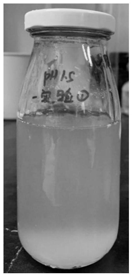 Preparation method of royal jelly polypeptide