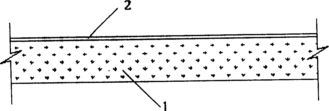 Color pavement formed by spraying on honey-combed cement concrete facing and construction method therefor