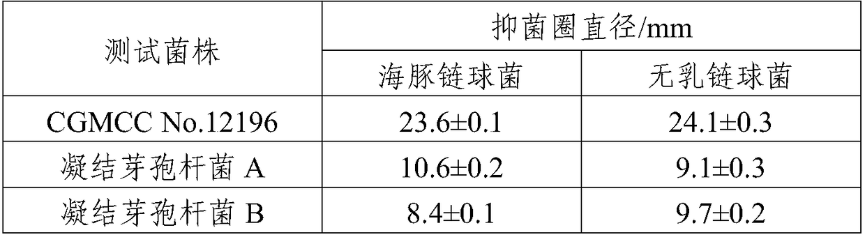 Novel strain of bacillus coagulans as well as microecological preparation and feed containing bacillus coagulans