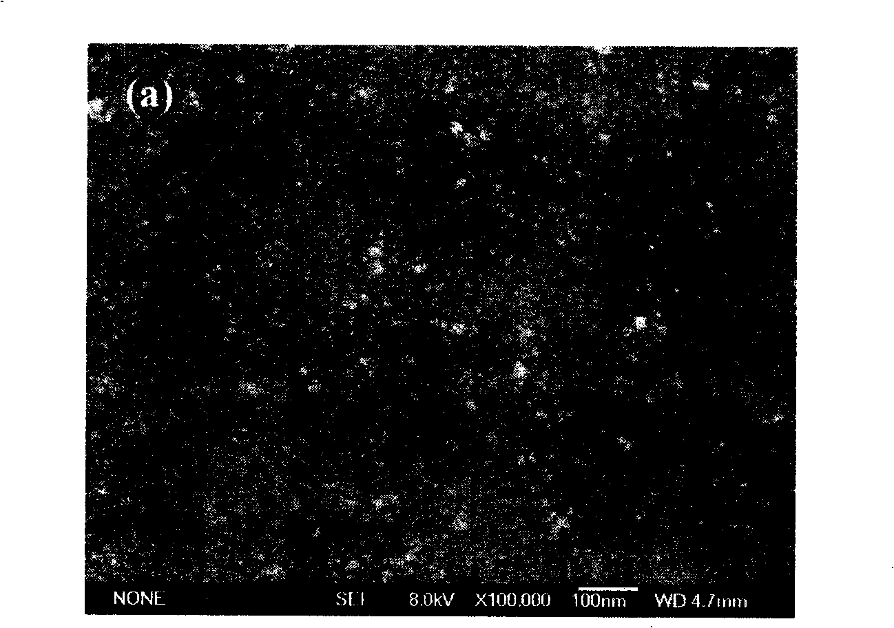 Orientational alignment carbon nano-tube and carbon coating cobalt nano-particle complex and preparation thereof