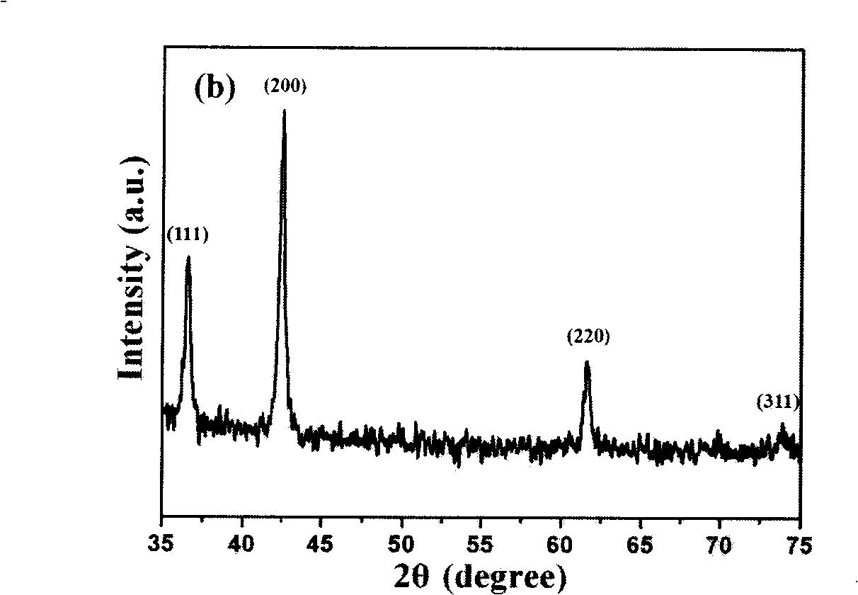 Orientational alignment carbon nano-tube and carbon coating cobalt nano-particle complex and preparation thereof