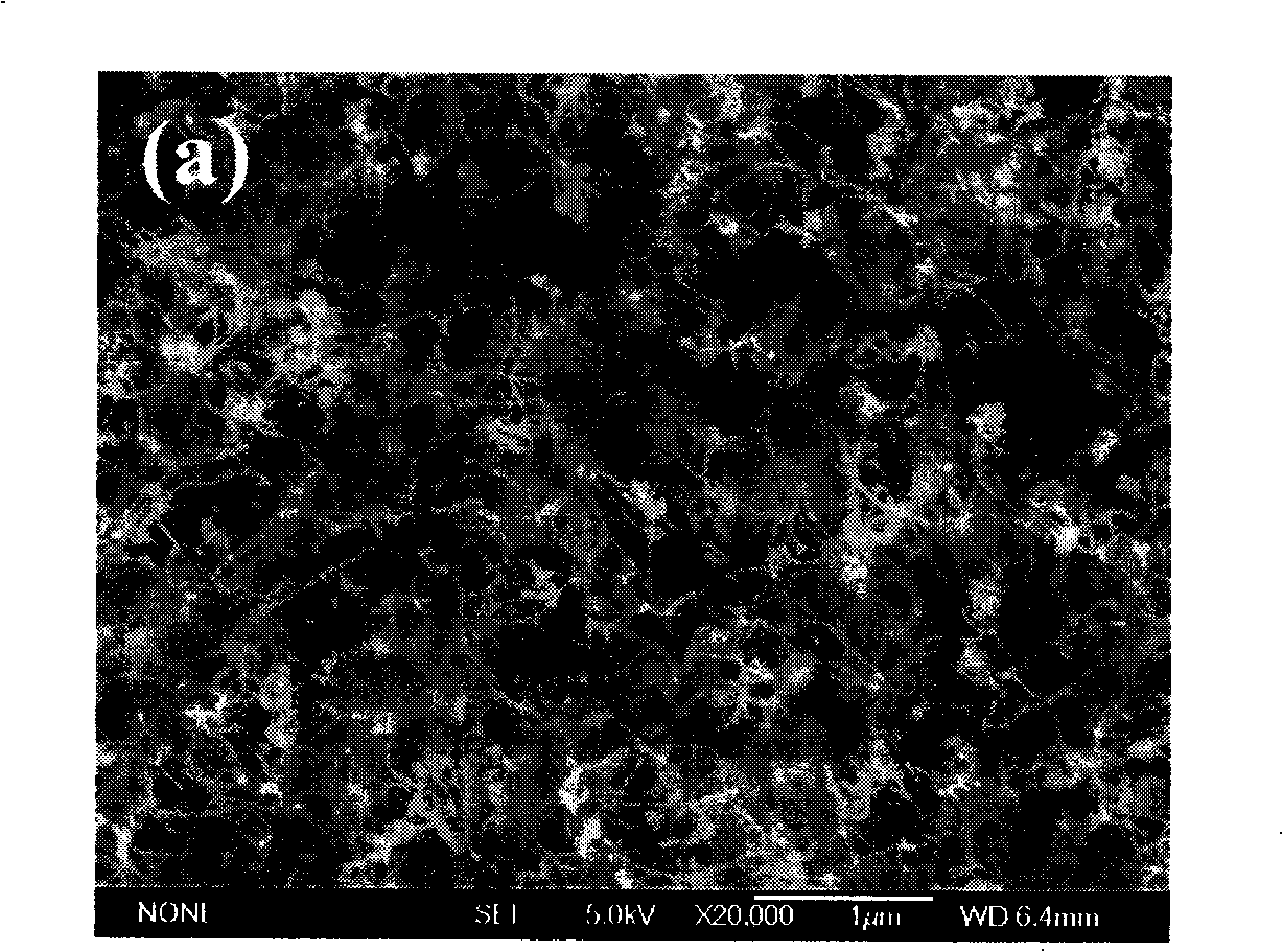 Orientational alignment carbon nano-tube and carbon coating cobalt nano-particle complex and preparation thereof