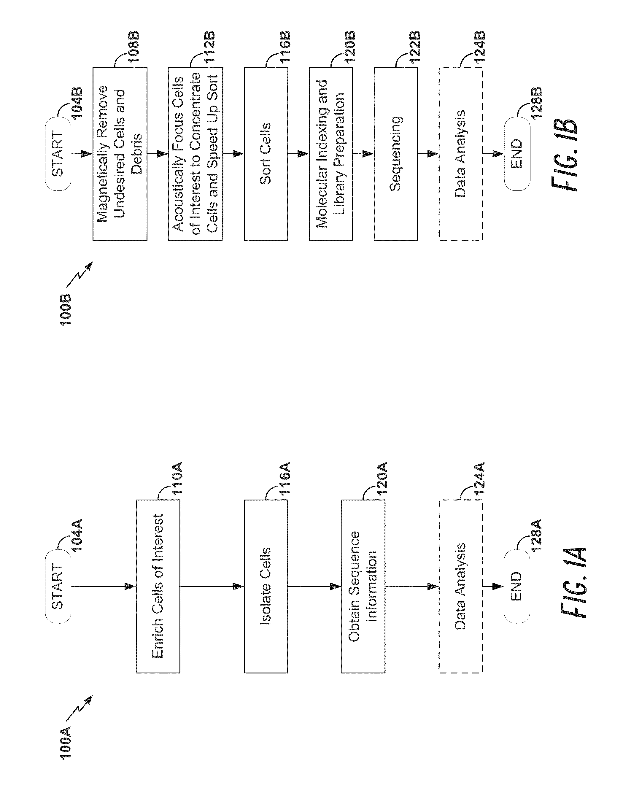 High-throughput single-cell analysis combining proteomic and genomic information