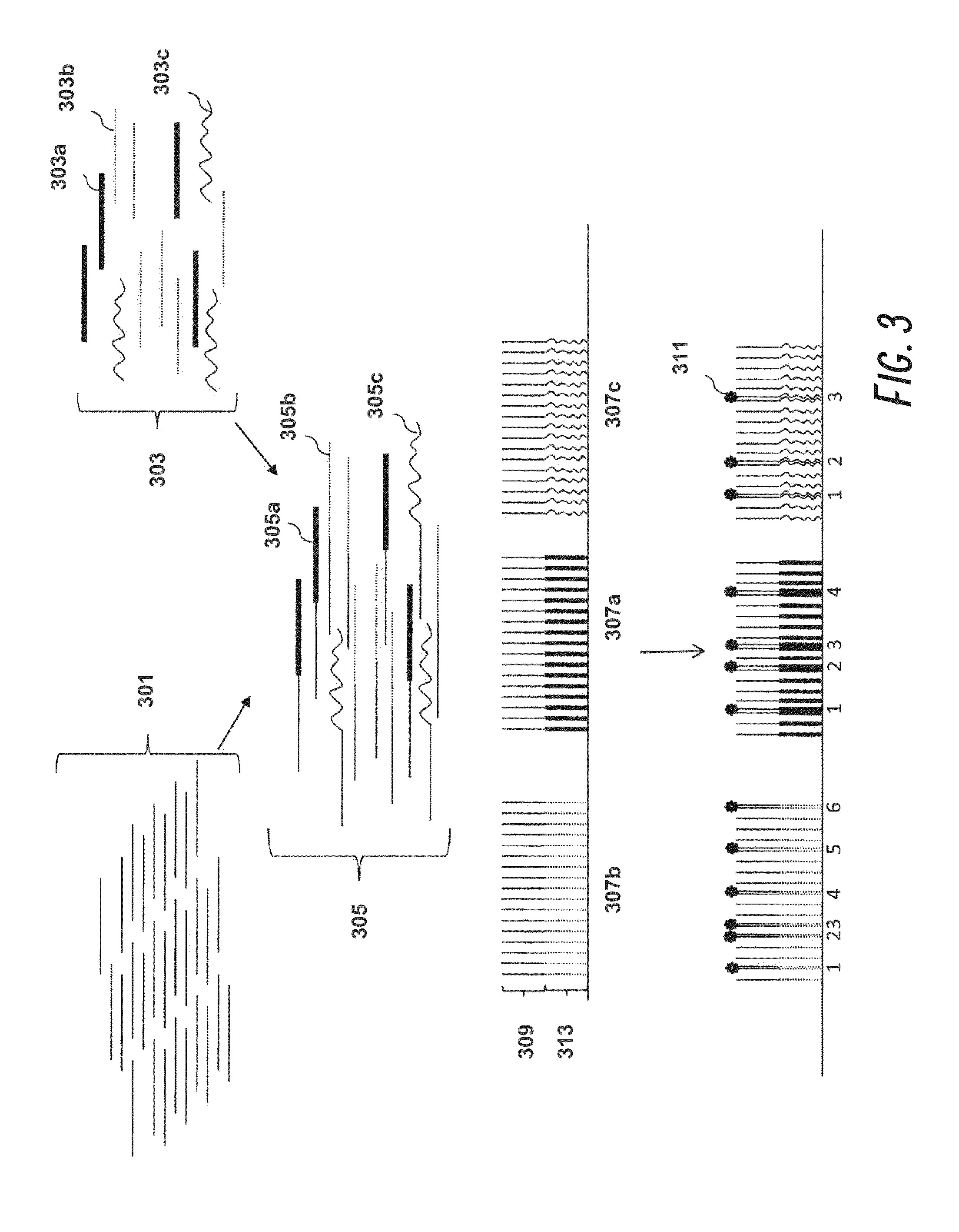 High-throughput single-cell analysis combining proteomic and genomic information