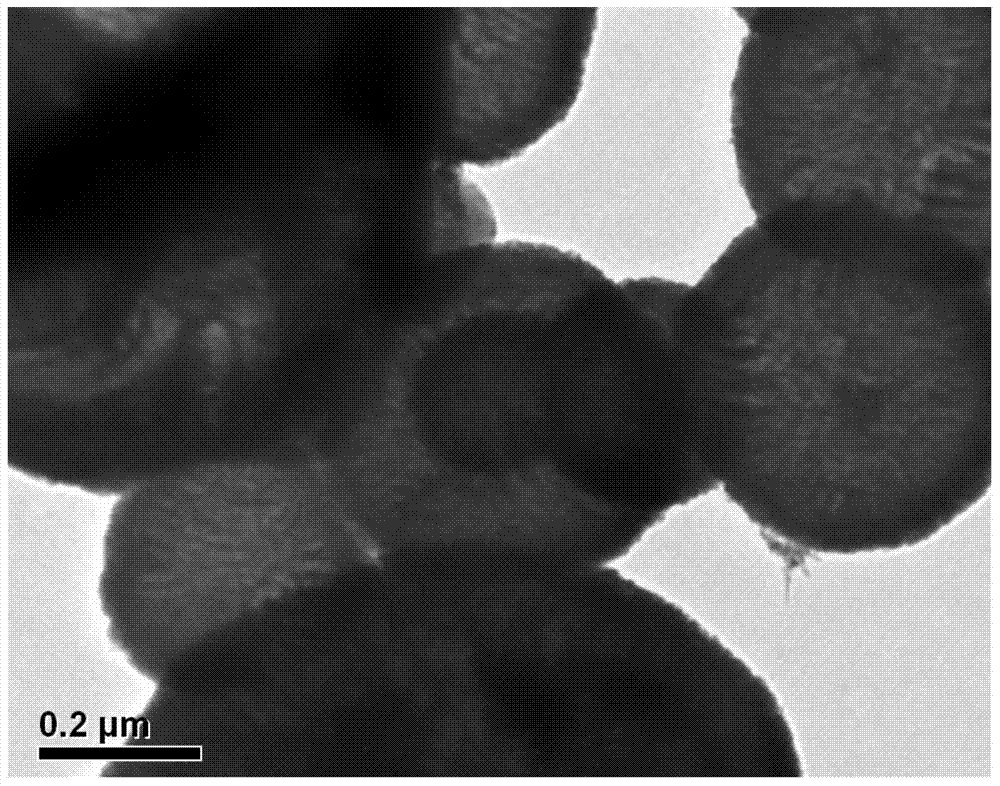 Method for treating wastewater by utilizing immobilized photosynthetic bacterium coupled film reaction system