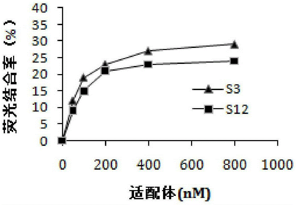 Nucleic acid aptamer S3 of Staphylococcus aureus enterotoxin A and application thereof