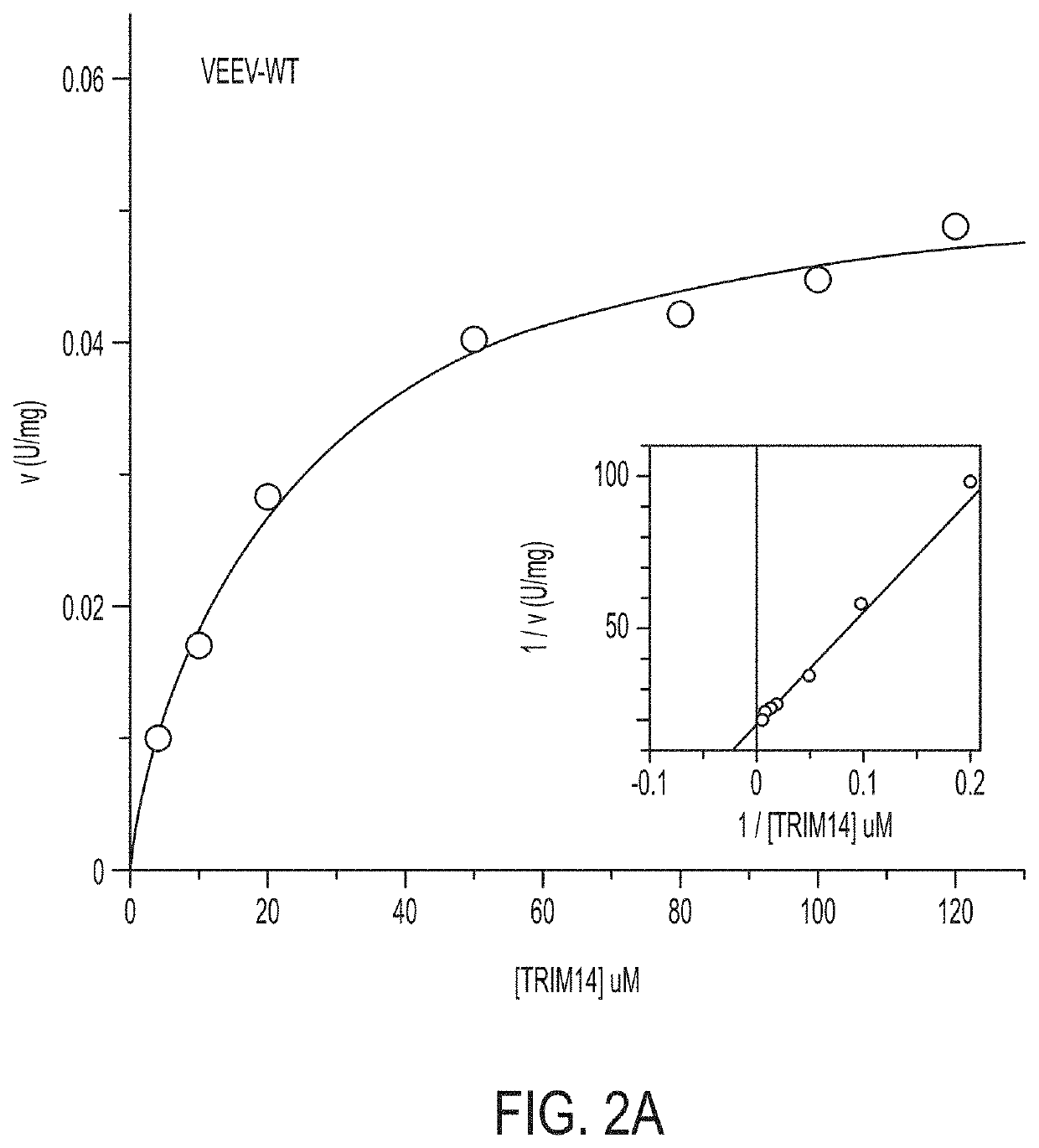 Methods and Compositions for the Detection of Host Protein Cleavage by Group IV Viral Proteases