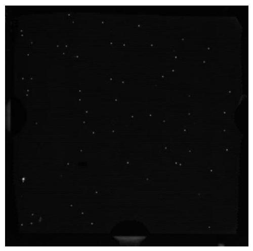 Processing method for sample for detecting bloodstream infection pathogenic bacteria