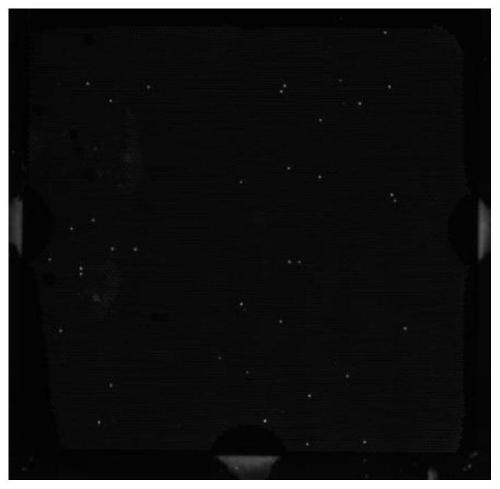 Processing method for sample for detecting bloodstream infection pathogenic bacteria