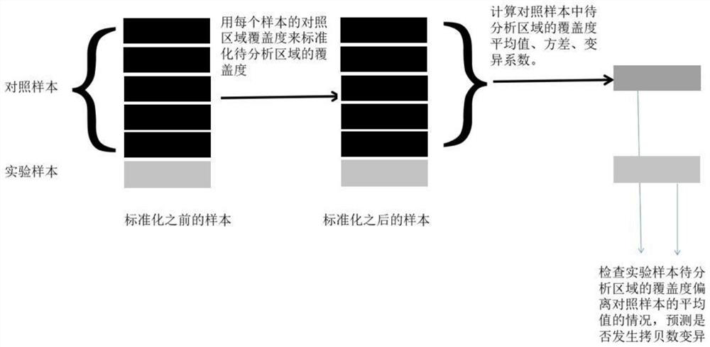 A single exon copy number variation prediction method based on target region sequencing