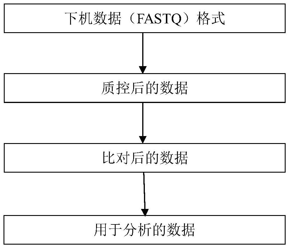 A single exon copy number variation prediction method based on target region sequencing