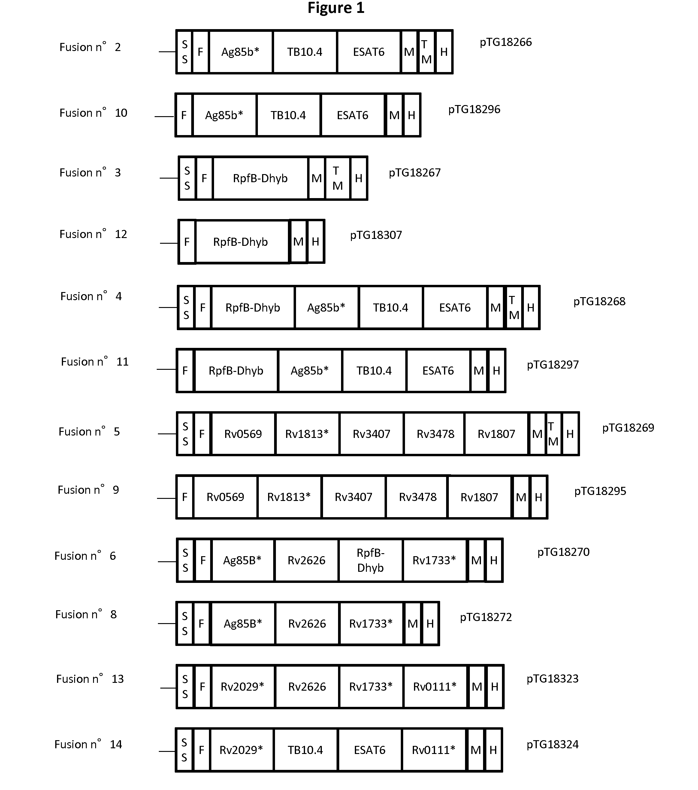 Mycobacterial Antigen Vaccine