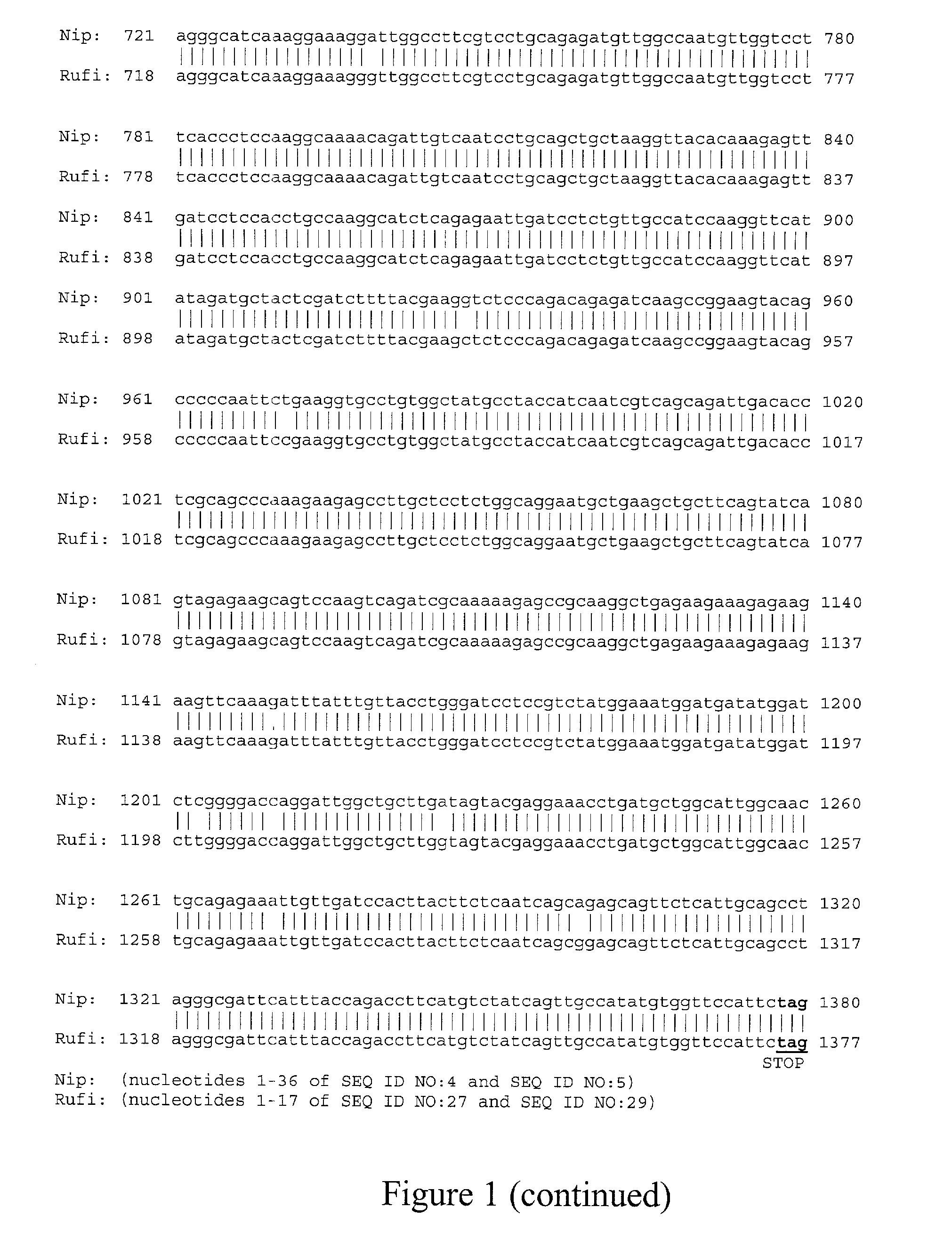 EG307 polynucleotides and uses thereof